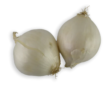 White Onion 1 LBS